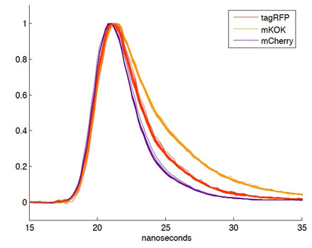 Fluorescence Lifetime